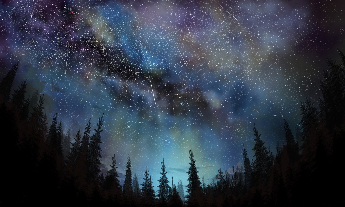 星夜流星树林星空图片星空 动漫壁纸 3k图片网
